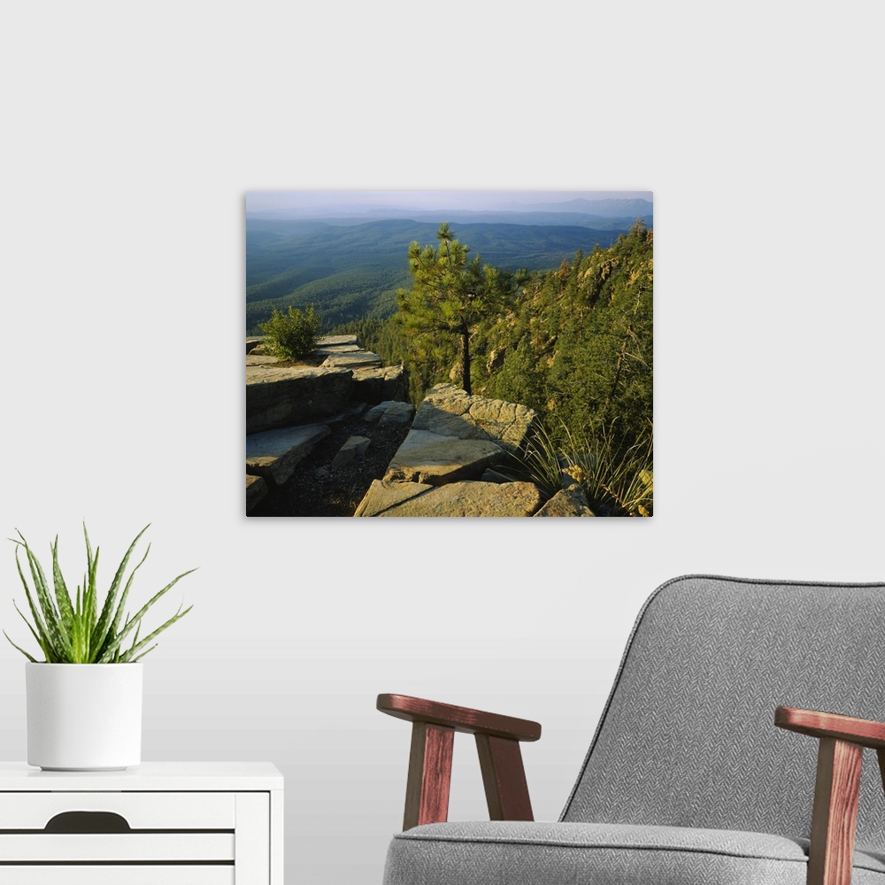 A modern room featuring High angle view of a valley, Mogollon Rim, Coconino National Forest, Coconino County, Arizona