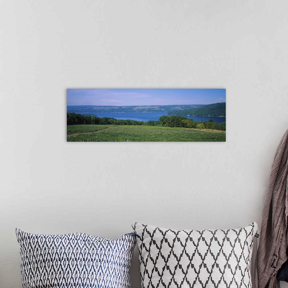 A bohemian room featuring High angle view of a vineyard near a lake, Keuka Lake, Finger Lakes, New York State