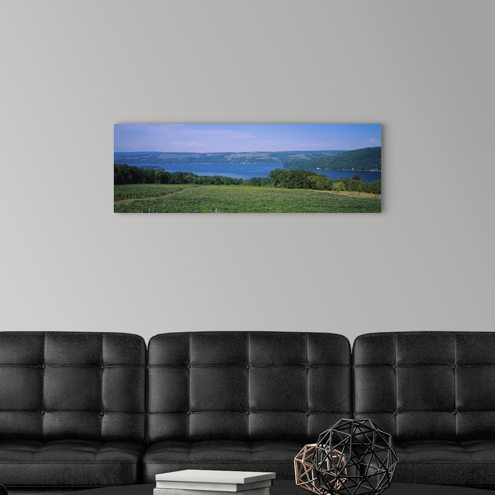 A modern room featuring High angle view of a vineyard near a lake, Keuka Lake, Finger Lakes, New York State