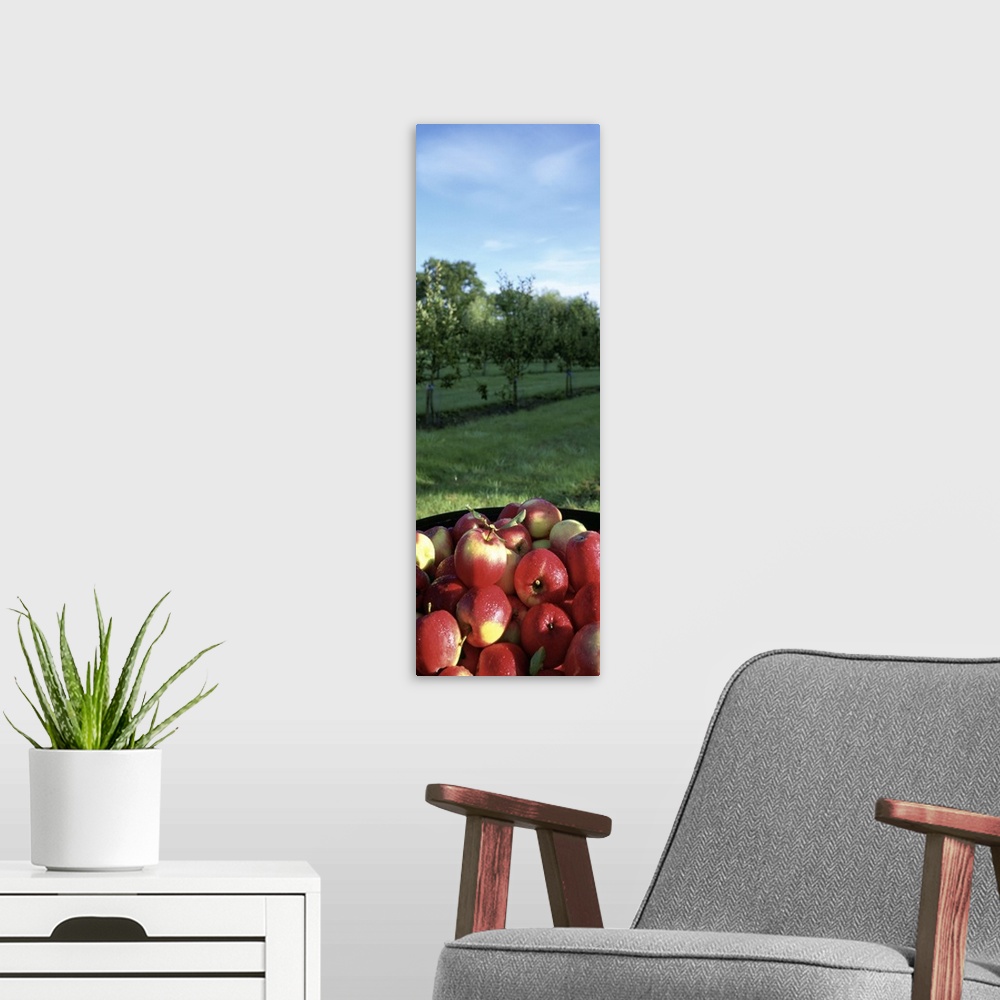 A modern room featuring High angle view of apples in a container