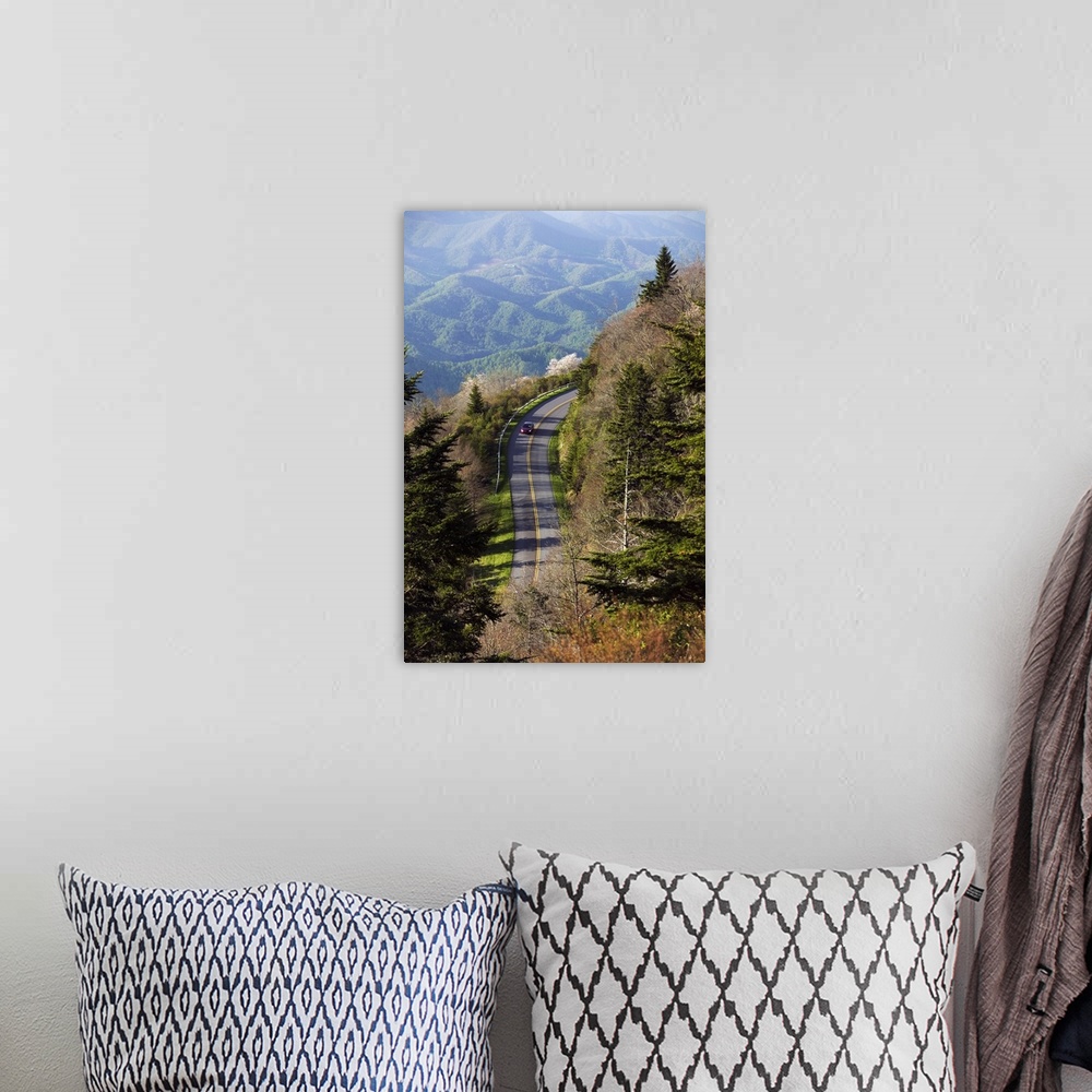 A bohemian room featuring Tall photo on canvas of a car driving down a road on a mountainside with other mountains in the d...