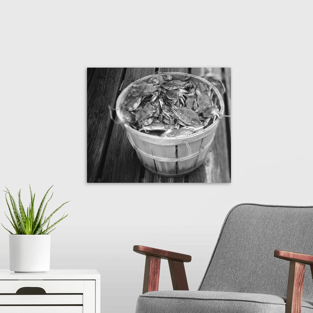 A modern room featuring Photograph of clawed crustaceans in a wooden crate sitting on a deck.