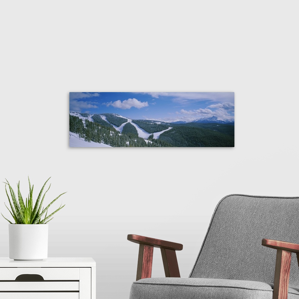 A modern room featuring High angle view of evergreen trees on mountains covered with snow, Colorado