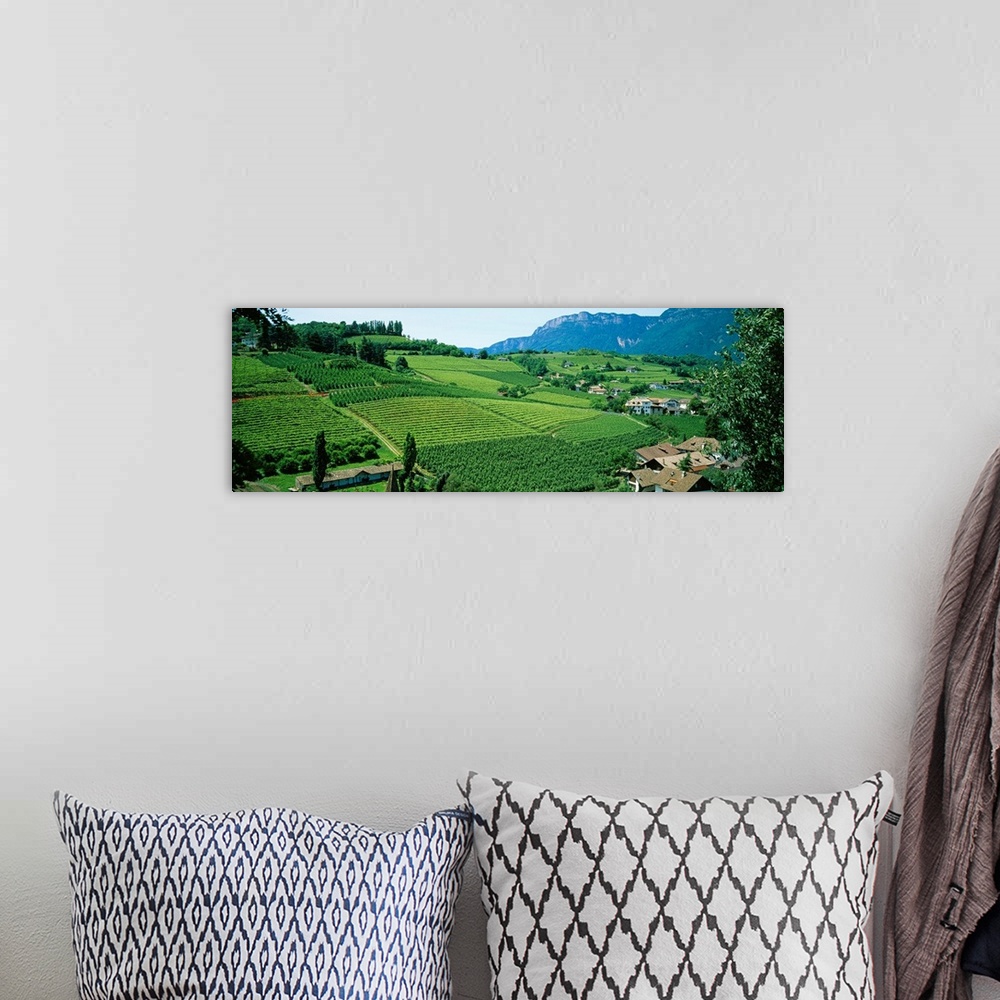 A bohemian room featuring Panoramic photograph displays the rolling countryside of a European country scattered with houses...