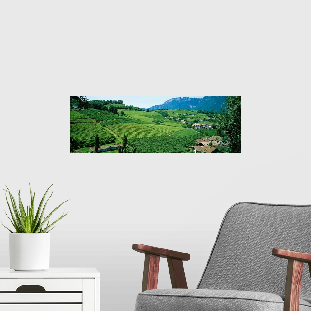 A modern room featuring Panoramic photograph displays the rolling countryside of a European country scattered with houses...