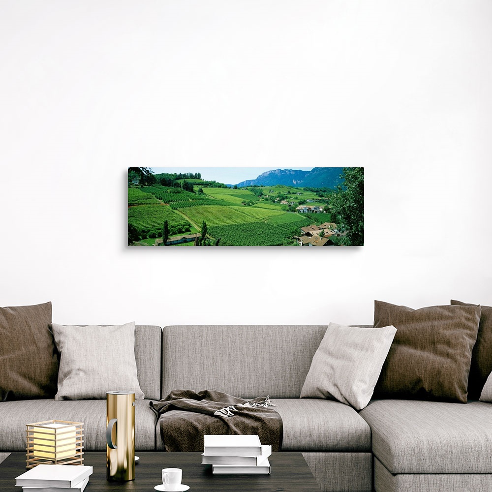 A traditional room featuring Panoramic photograph displays the rolling countryside of a European country scattered with houses...