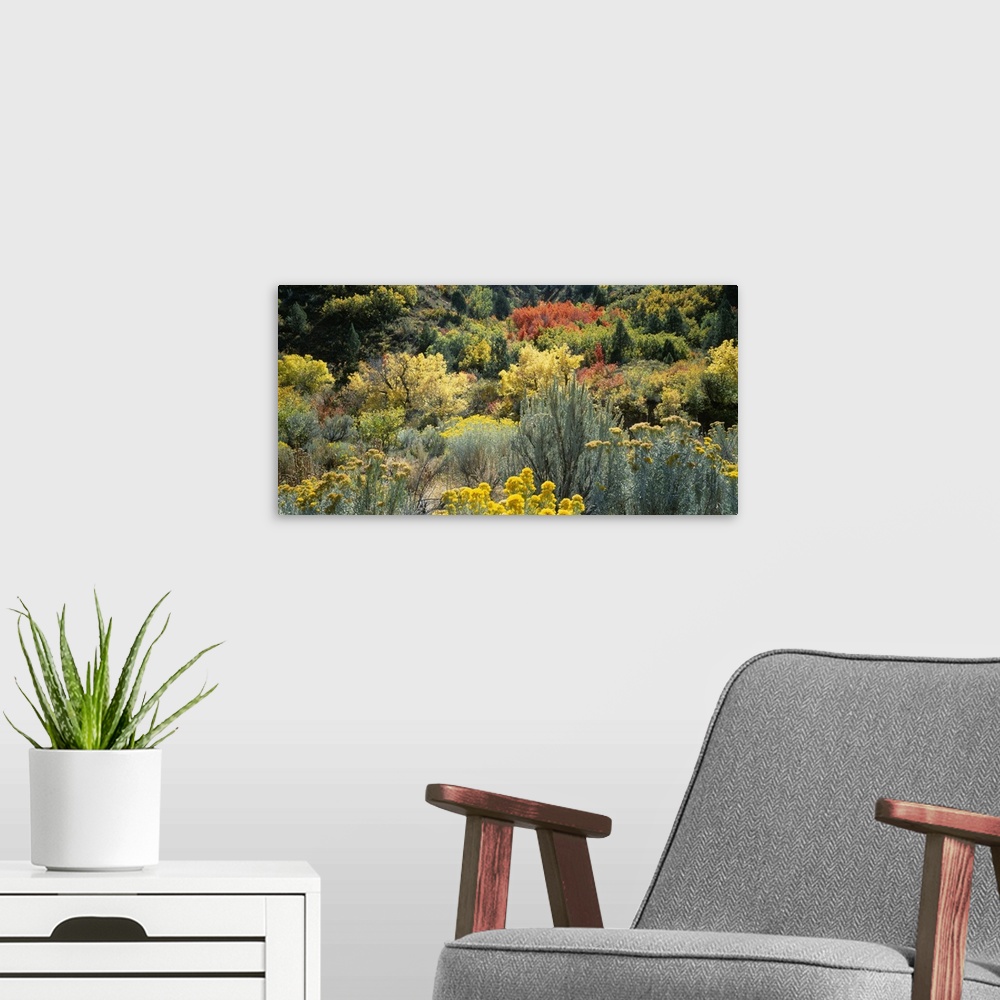 A modern room featuring High angle view of flowers, Utah County, Utah