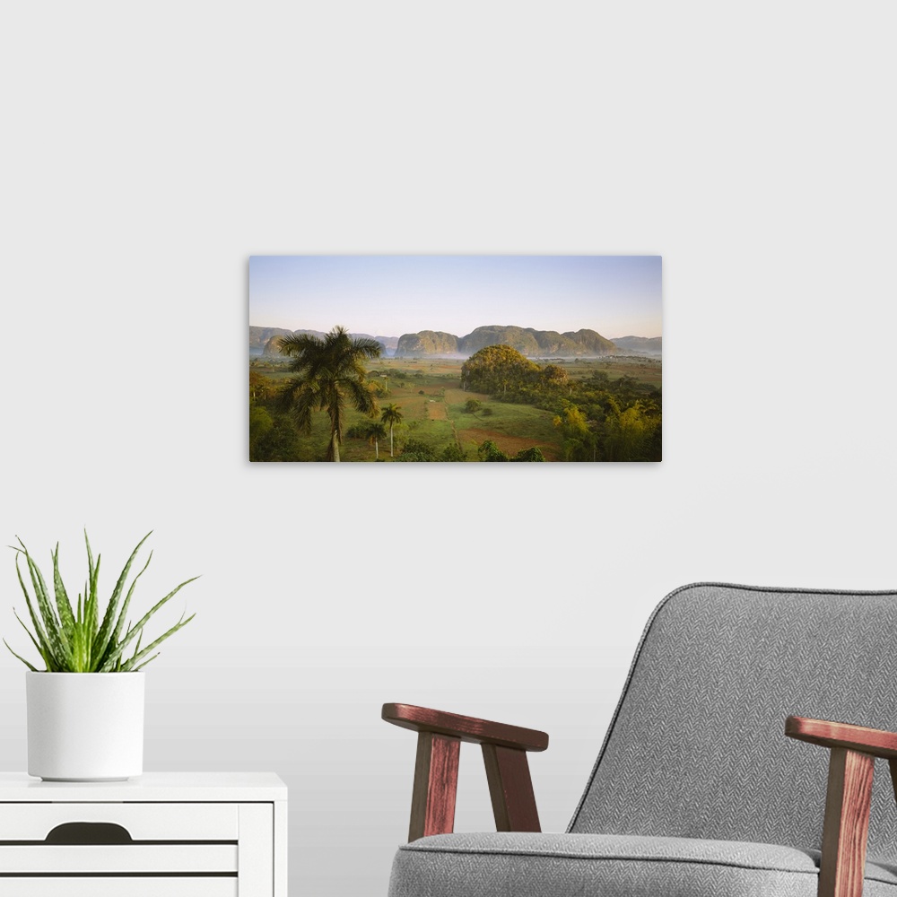 A modern room featuring High angle view of palm trees on a landscape, Vinales, Cuba