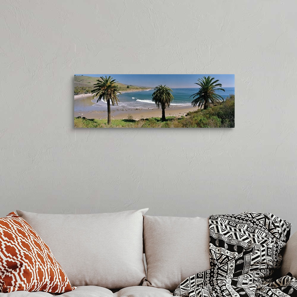 A bohemian room featuring High angle view of palm trees on the beach, Refugio State Beach, California