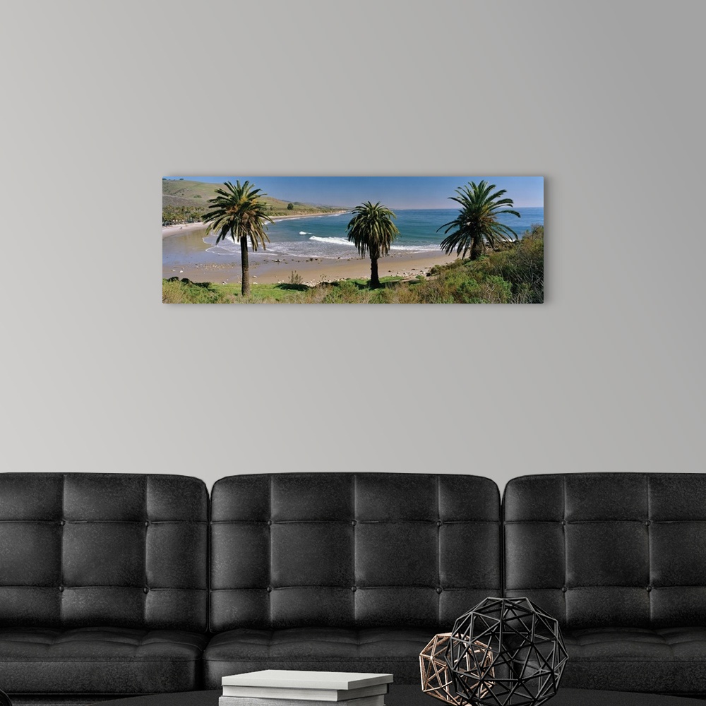 A modern room featuring High angle view of palm trees on the beach, Refugio State Beach, California