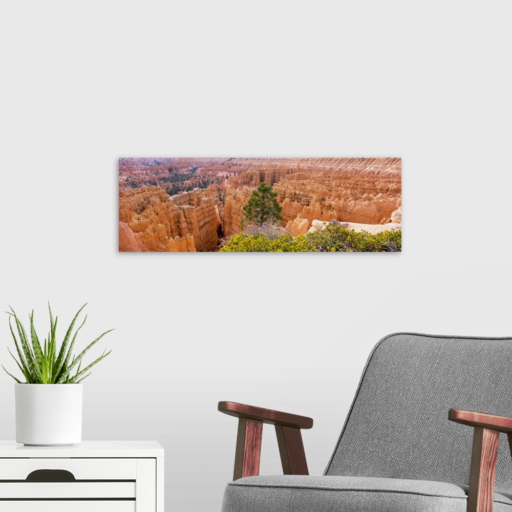 A modern room featuring High angle view of rock formations, Bryce Canyon National Park, Utah