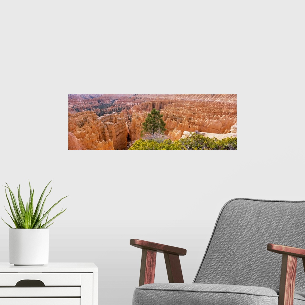 A modern room featuring High angle view of rock formations, Bryce Canyon National Park, Utah