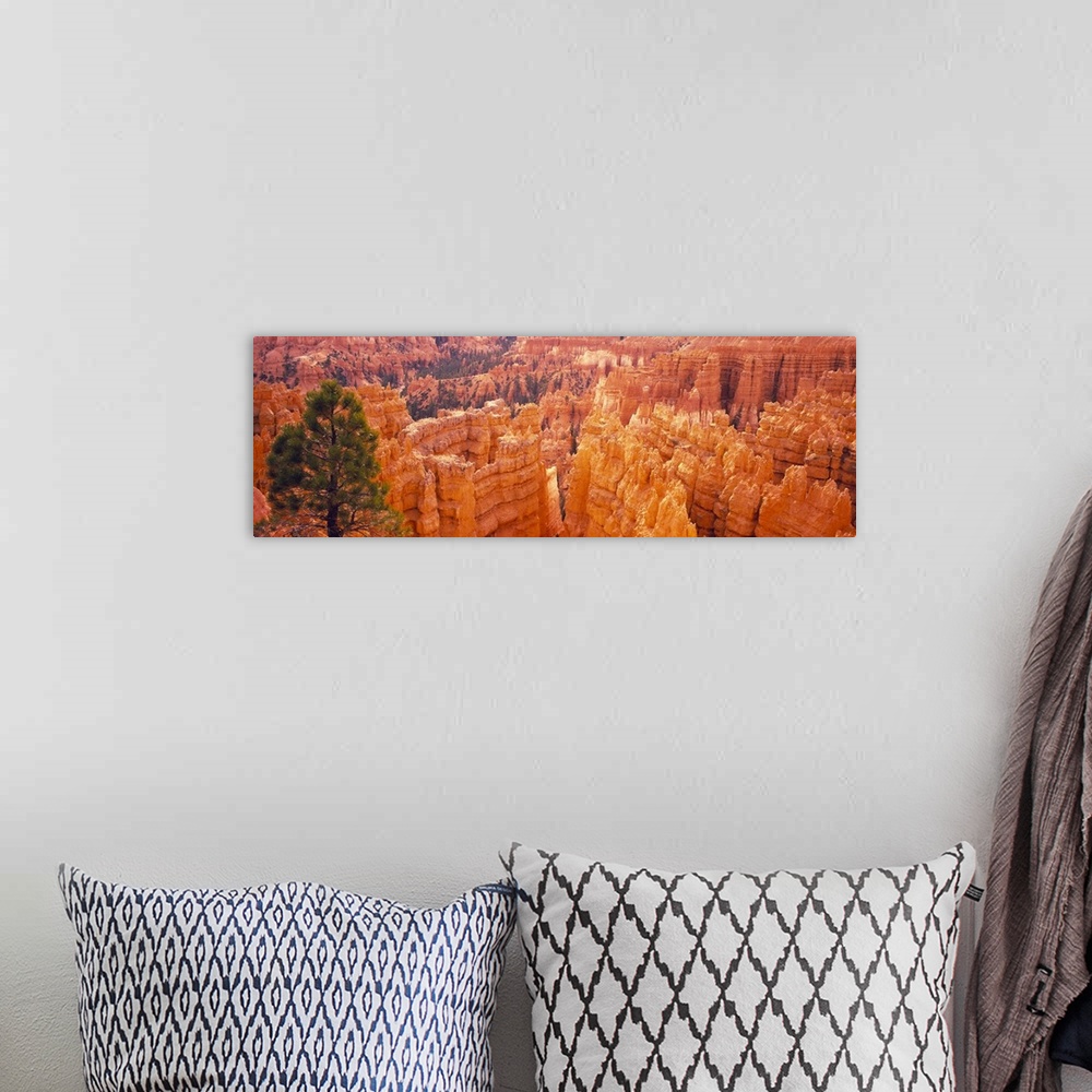 A bohemian room featuring Panoramic image from above of Bryce Canyon park at the  spires of red and orange rocks sticking u...