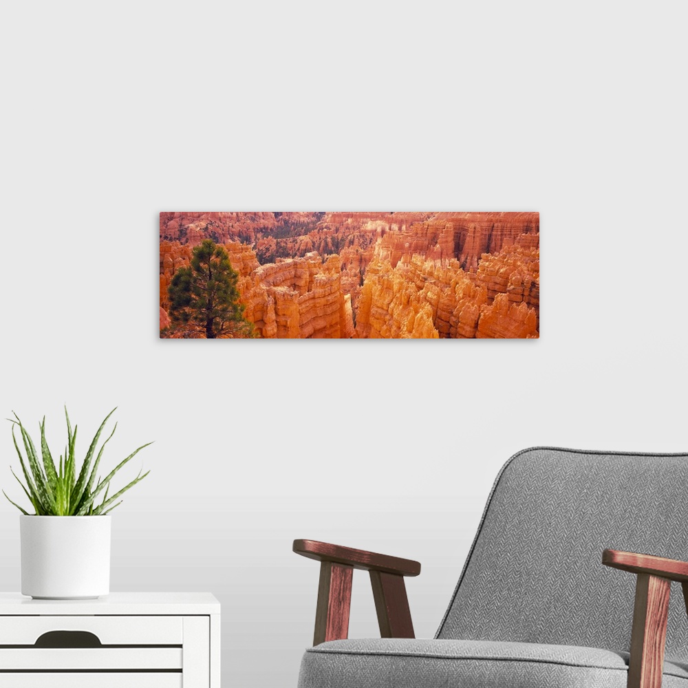 A modern room featuring Panoramic image from above of Bryce Canyon park at the  spires of red and orange rocks sticking u...