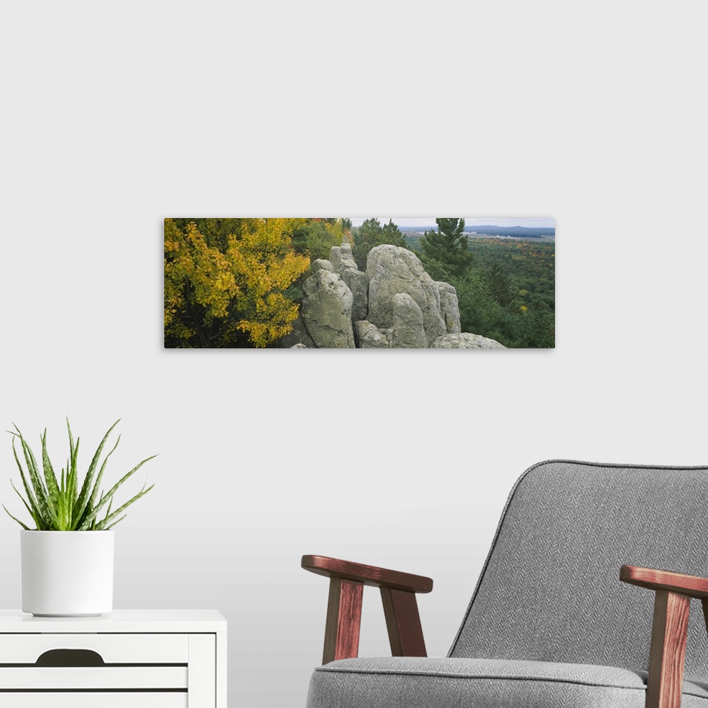 A modern room featuring High angle view of rock formations in a forest, Black River State Forest, Wisconsin