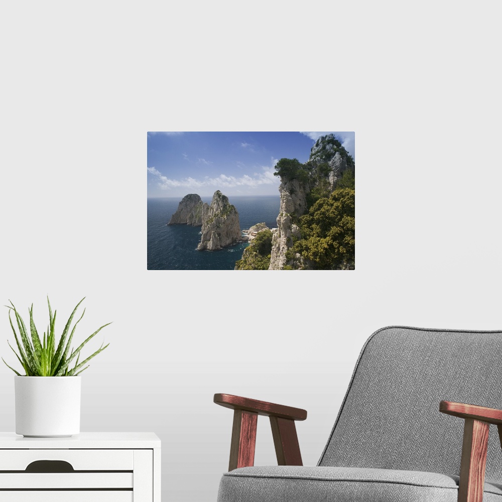A modern room featuring Photograph of huge rock formations covered in trees in the ocean under a cloudy sky.
