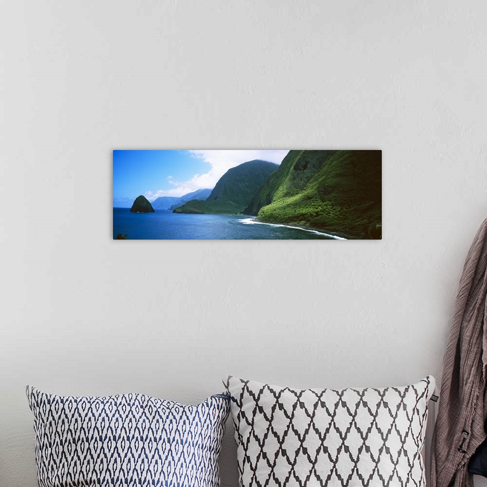 A bohemian room featuring Panoramic photo of large tropical mountains meeting the ocean with a small mountain off shore.