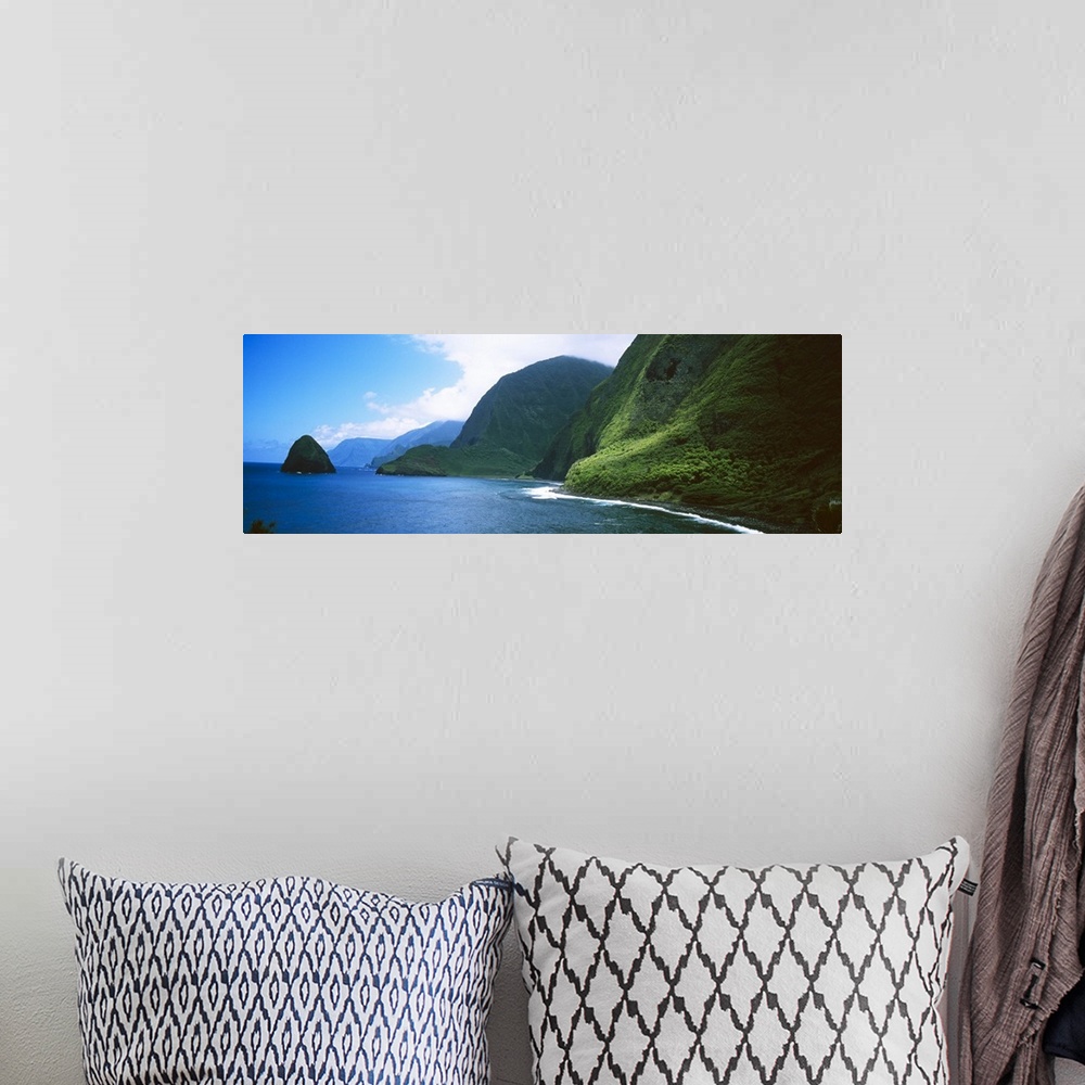 A bohemian room featuring Panoramic photo of large tropical mountains meeting the ocean with a small mountain off shore.