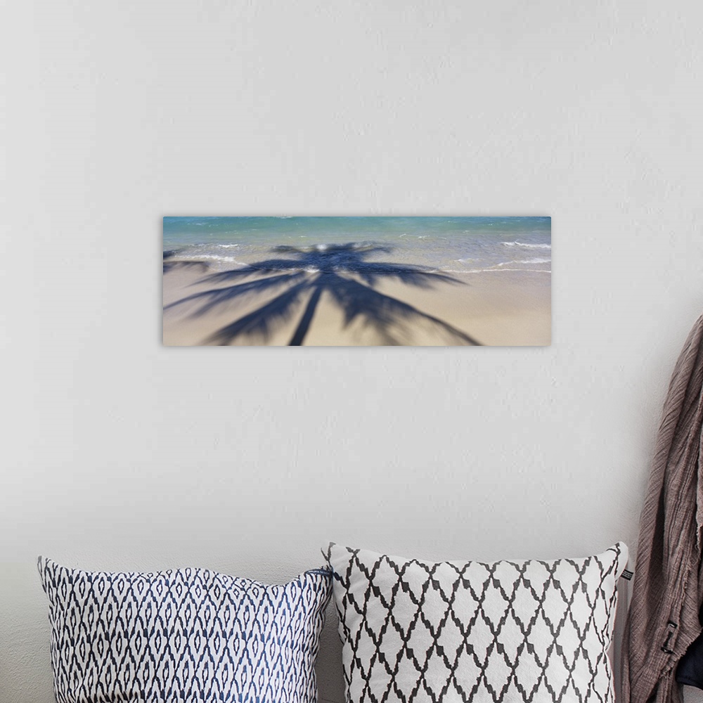A bohemian room featuring Panoramic photograph of palm tree silhouette on shoreline.
