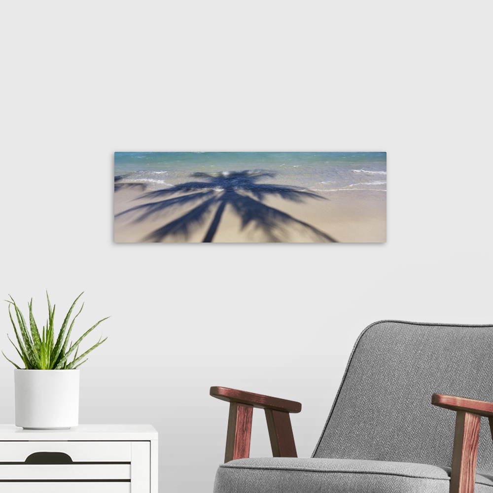 A modern room featuring Panoramic photograph of palm tree silhouette on shoreline.