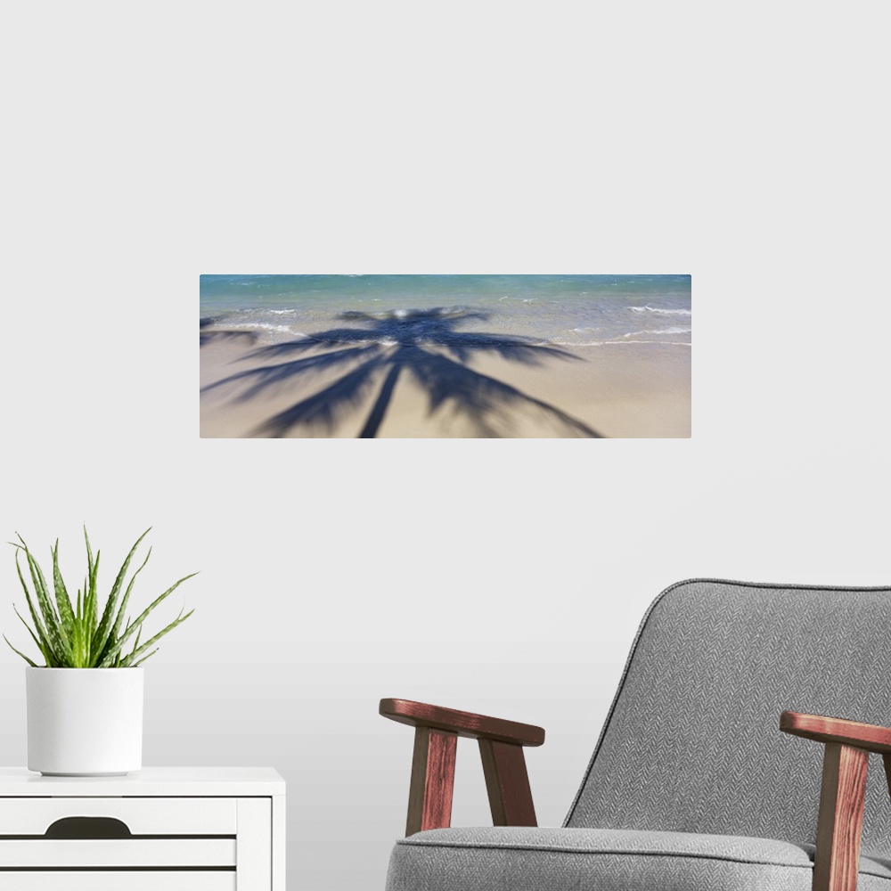 A modern room featuring Panoramic photograph of palm tree silhouette on shoreline.