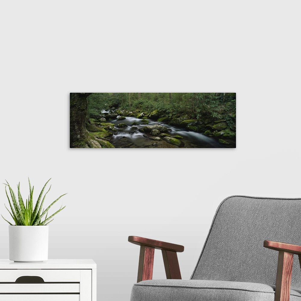 A modern room featuring Panoramic photograph on a big canvas of a rocky stream surrounded by a dense, green forest in the...