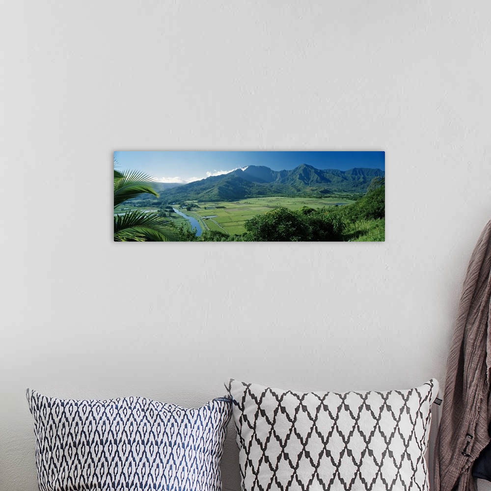 A bohemian room featuring High angle view of taro fields, Hanalei Valley, Kauai, Hawaii