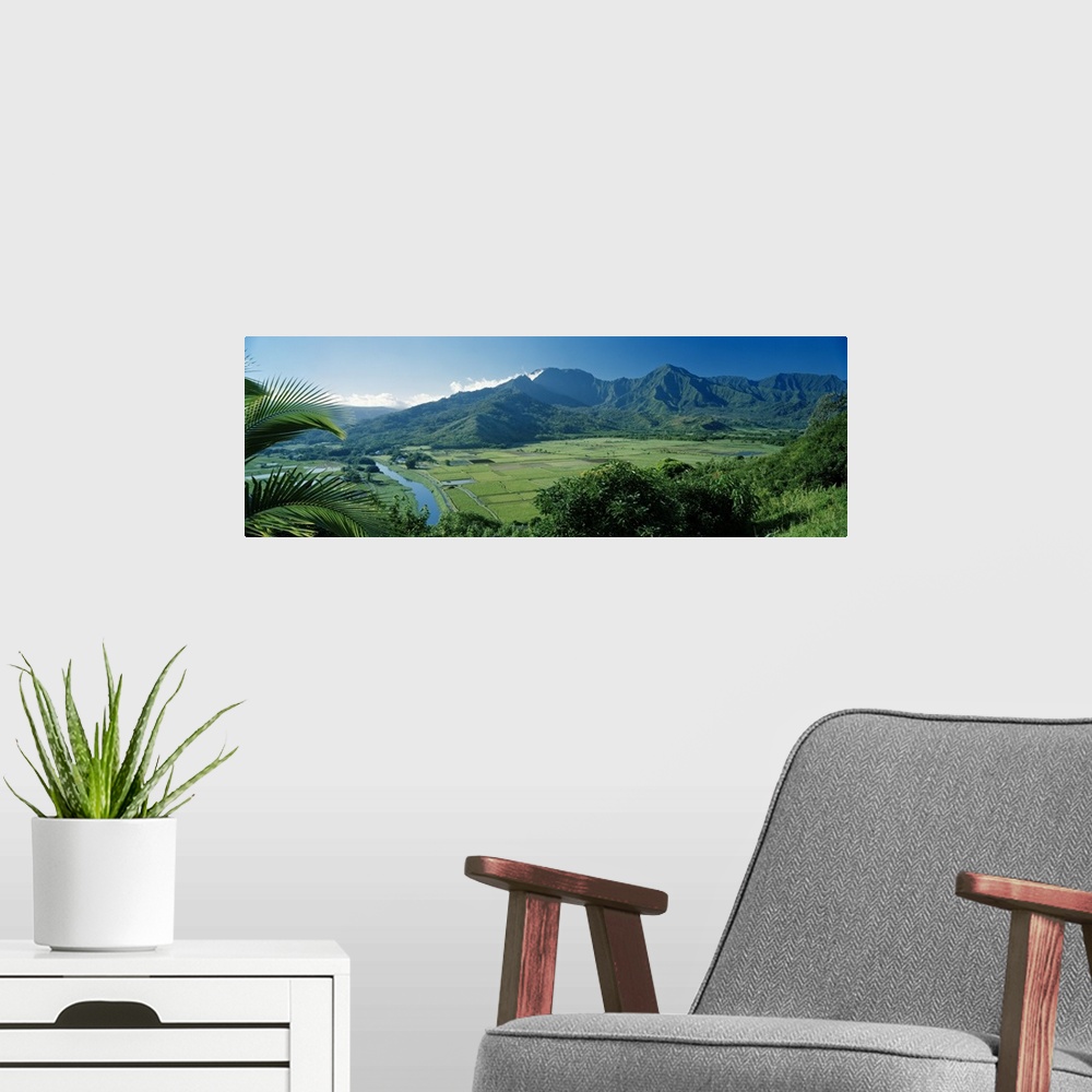 A modern room featuring High angle view of taro fields, Hanalei Valley, Kauai, Hawaii