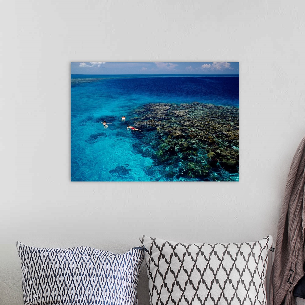 A bohemian room featuring High angle view of three men snorkeling in the sea, Blue Hole, Lighthouse Reef, Belize