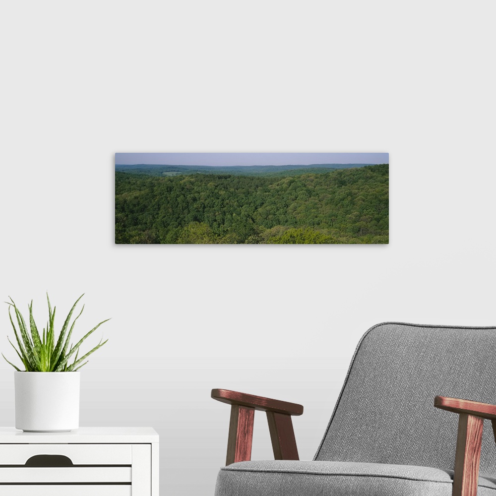 A modern room featuring High angle view of trees in a forest, Garden of the Gods Recreation Area, Shawnee National Forest...