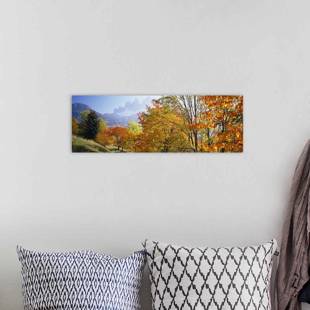 A bohemian room featuring Long photo on canvas of vivid fall foliage with a layer of rolling mountains then rugged mountain...