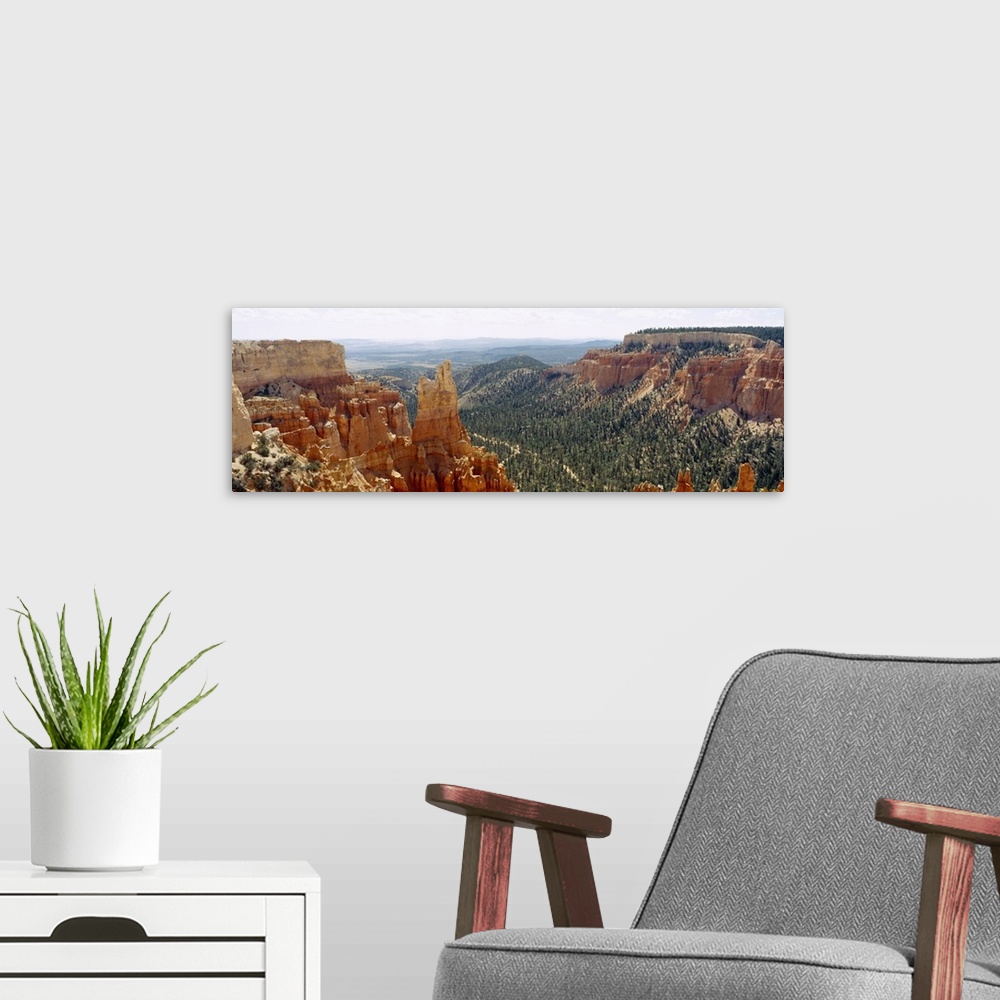A modern room featuring High angle view of trees in a forest, Paria Canyon-Vermilion Cliffs Wilderness, Bryce Canyon Nati...