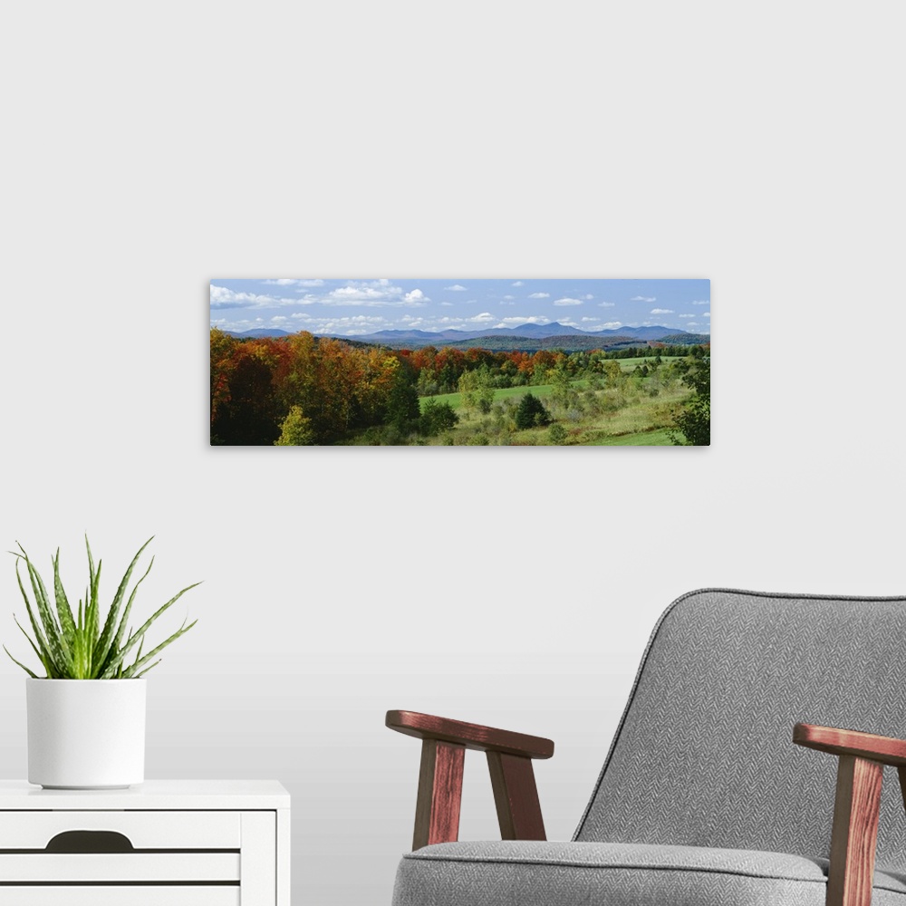A modern room featuring High angle view of trees in the forest, Newport, Vermont, New England