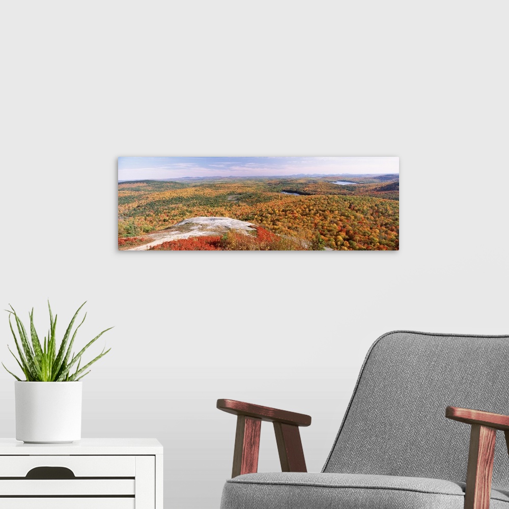 A modern room featuring High angle view of trees on a mountain, Bangor Area, Peaked Mountain, Clifton, Maine