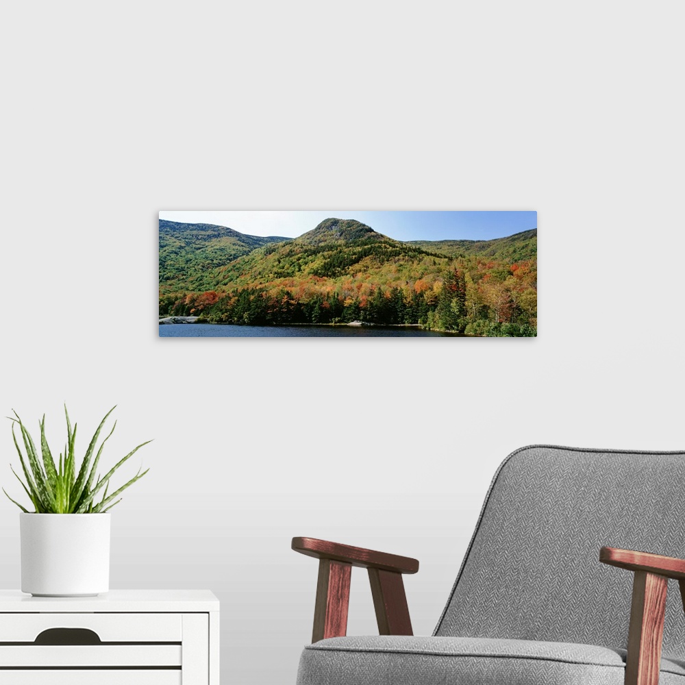 A modern room featuring High angle view of White Mountain National Forest, New Hampshire