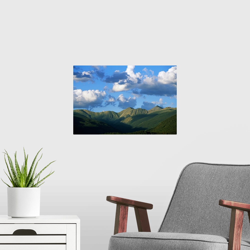 A modern room featuring Horizontal photograph on a giant canvas of a blue sky with fluffy clouds over the green, rolling ...