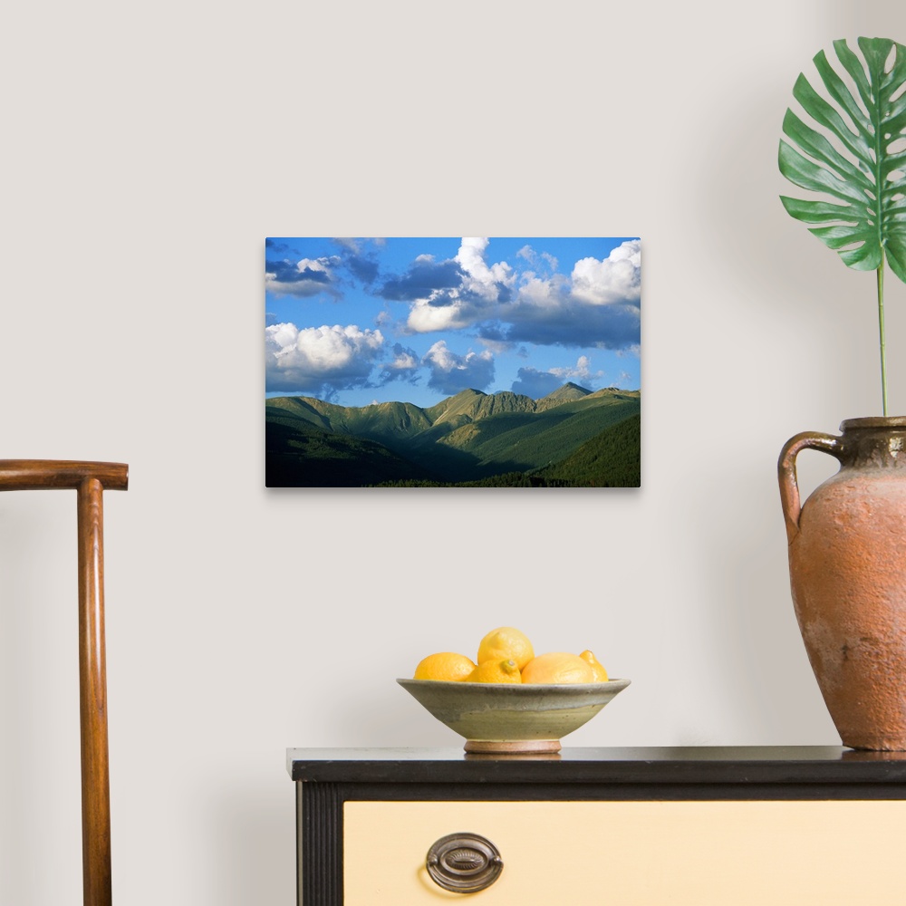 A traditional room featuring Horizontal photograph on a giant canvas of a blue sky with fluffy clouds over the green, rolling ...