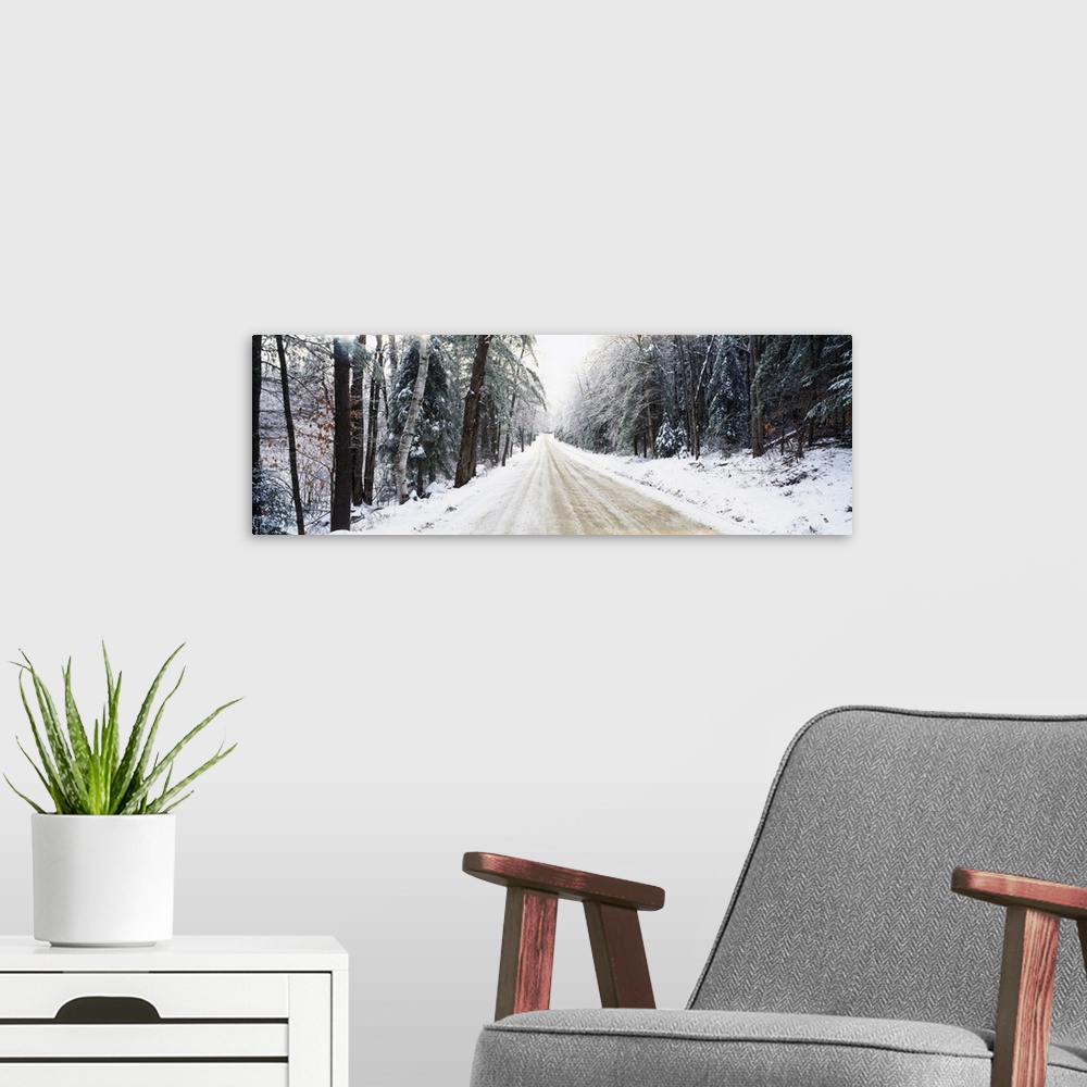 A modern room featuring Highway running through a forest, New Hampshire, New England