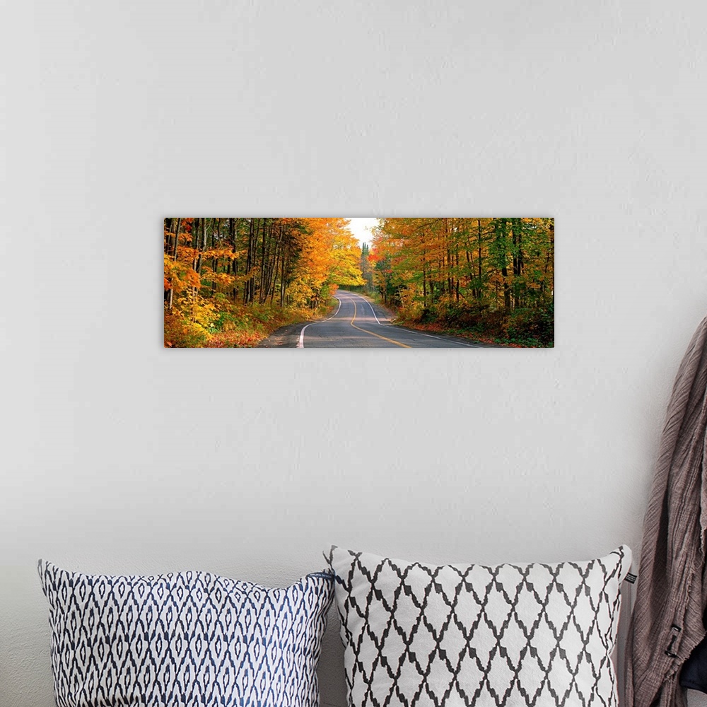 A bohemian room featuring Highway Through a Forest Laurentides Quebec Canada
