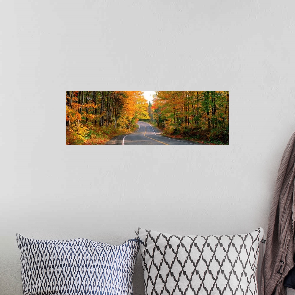 A bohemian room featuring Highway Through a Forest Laurentides Quebec Canada