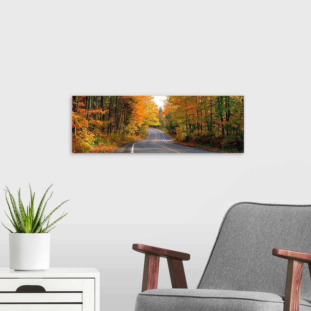 A modern room featuring Highway Through a Forest Laurentides Quebec Canada