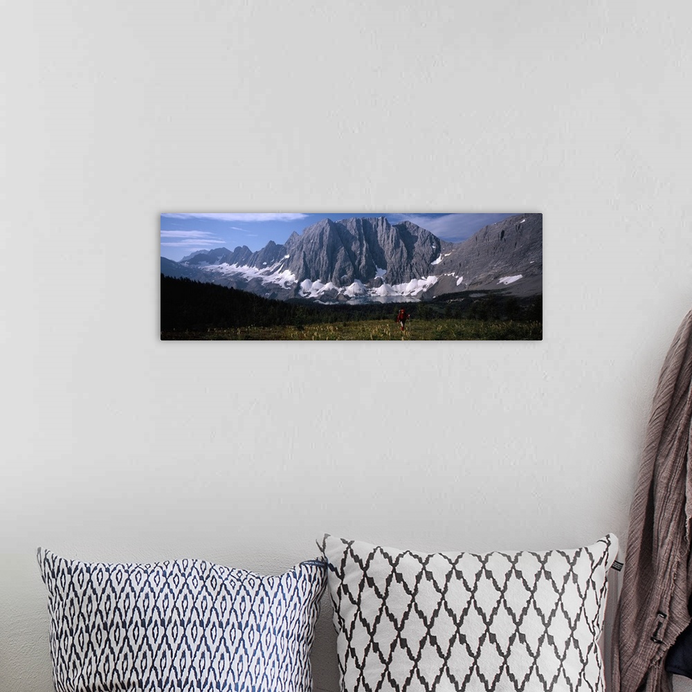 A bohemian room featuring Hiker in a meadow, Floe Lake, Glacier National Park, British Columbia, Canada