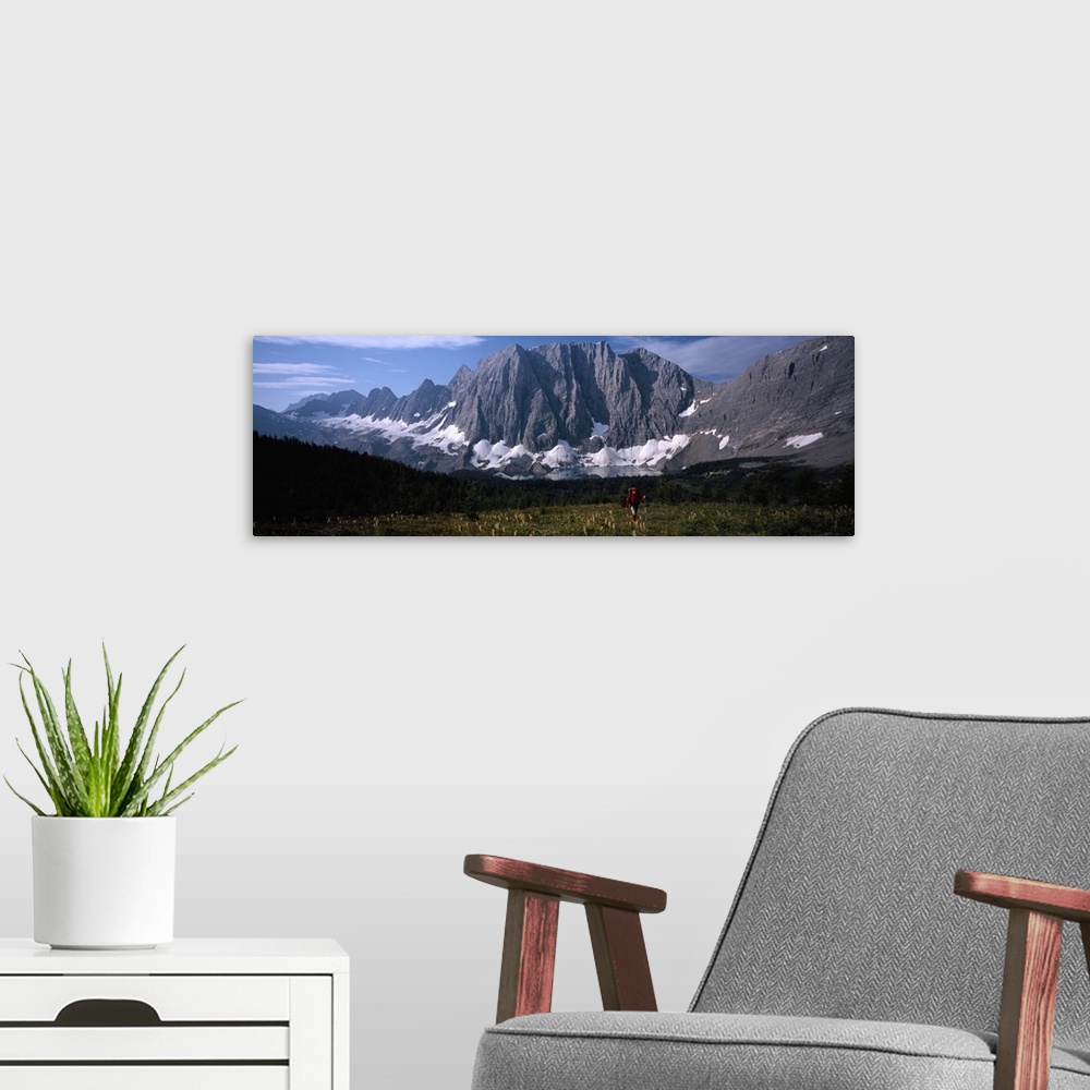 A modern room featuring Hiker in a meadow, Floe Lake, Glacier National Park, British Columbia, Canada