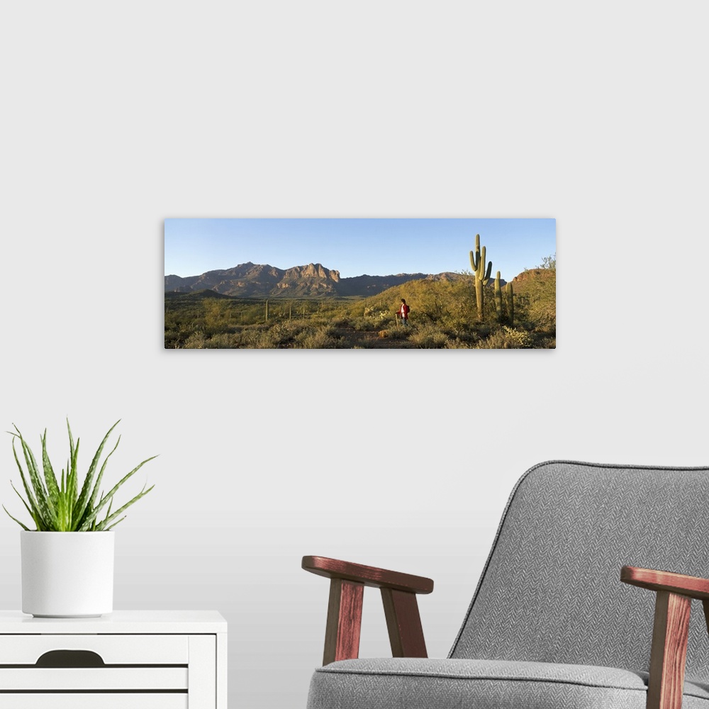 A modern room featuring Hiker Superstition Wilderness Area Phoenix AZ