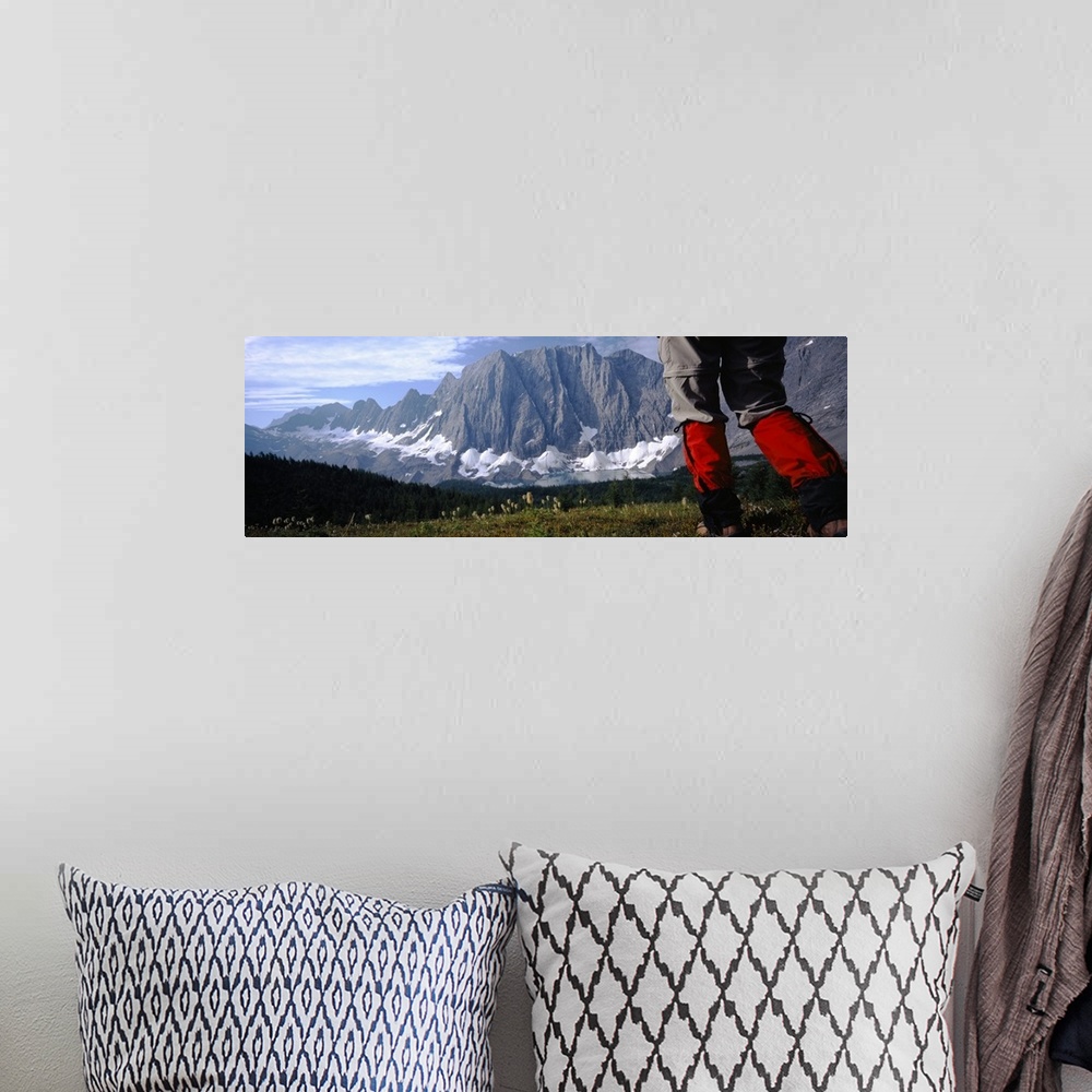 A bohemian room featuring Hiker walking in a meadow, Floe Lake, Glacier National Park, British Columbia, Canada