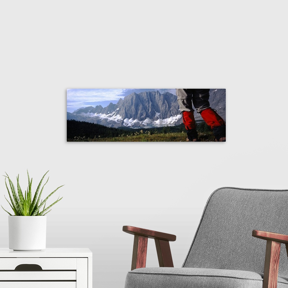 A modern room featuring Hiker walking in a meadow, Floe Lake, Glacier National Park, British Columbia, Canada