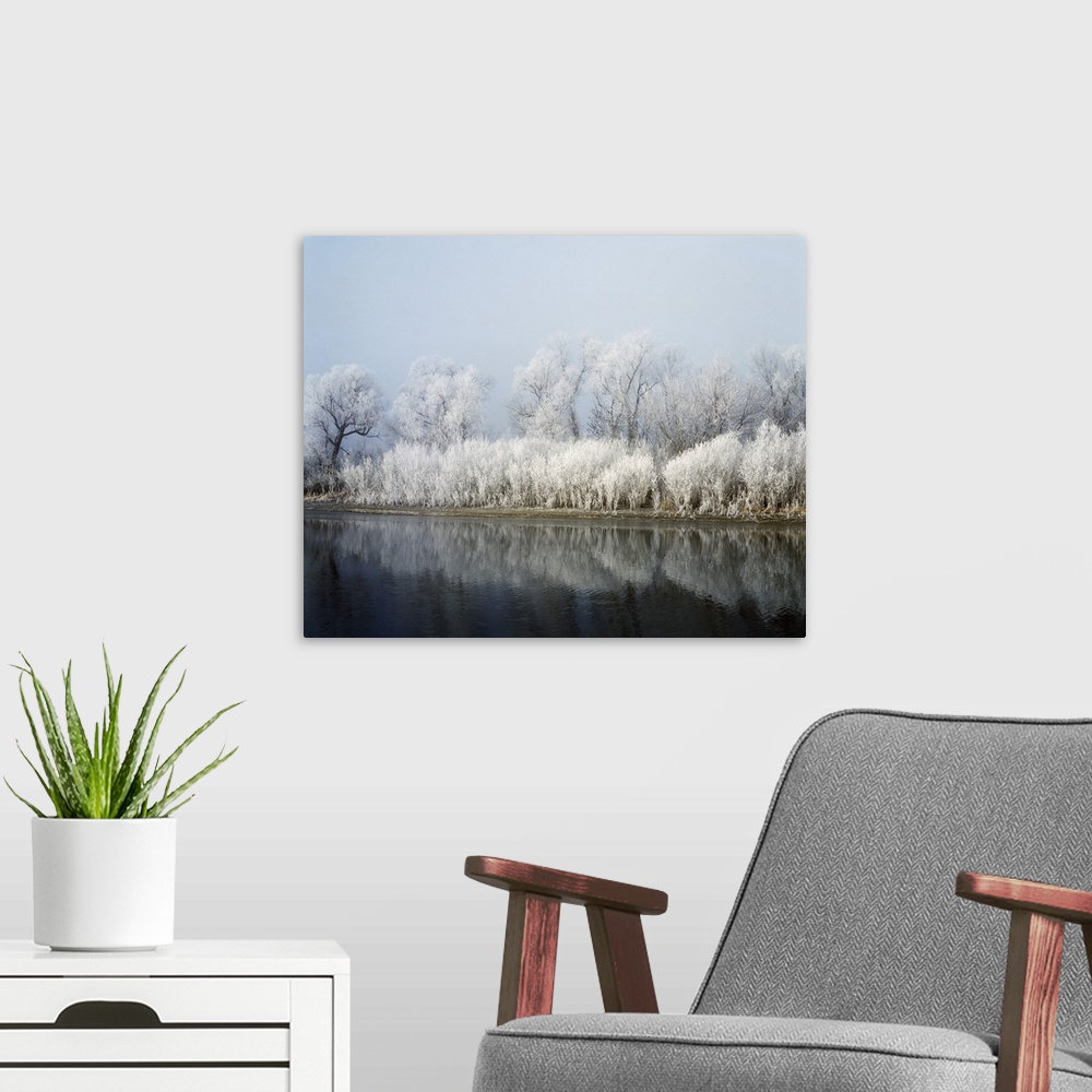 A modern room featuring Hoarfrost-covered trees along Mississippi River, Upper Mississippi National Wildlife Refuge, Wisc...