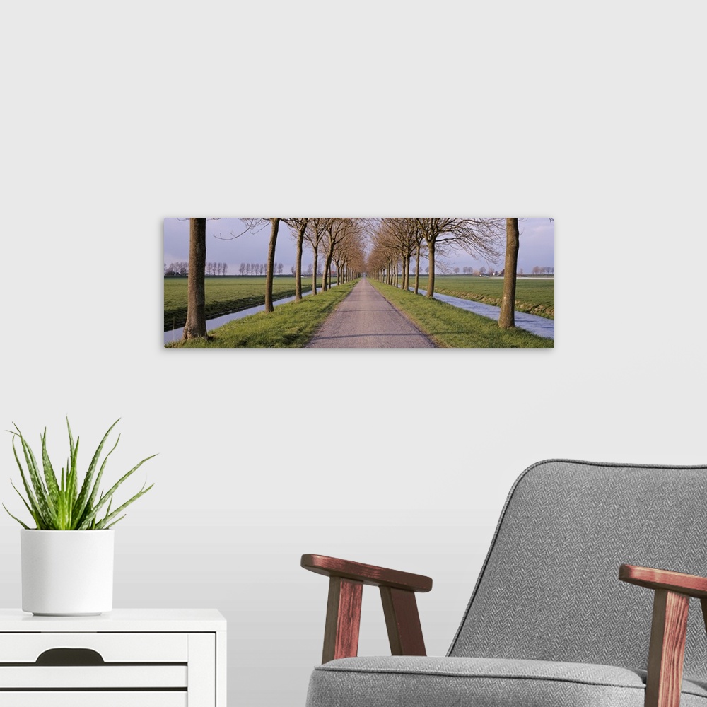 A modern room featuring Holland, Meddembeemster, View of a tree lined lane with canals