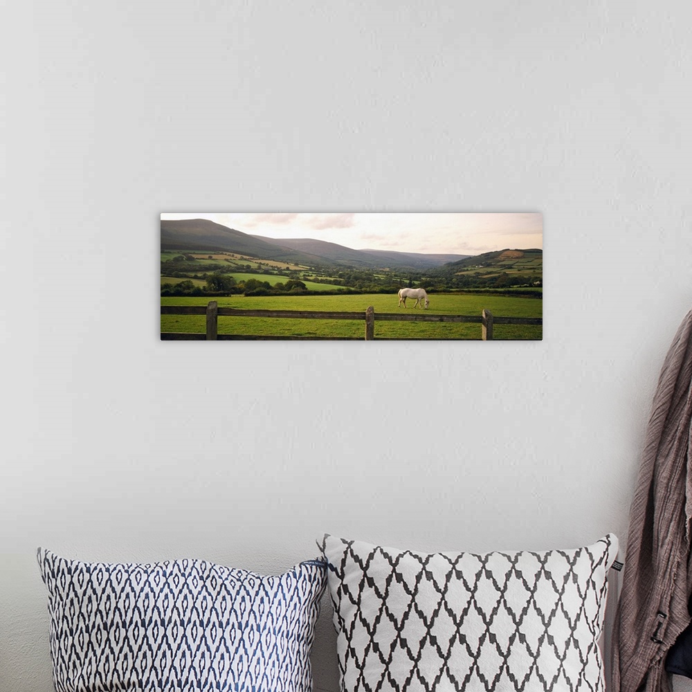 A bohemian room featuring Big canvas photo of a horse grazing in a field with a fence in the foreground and rolling mountai...