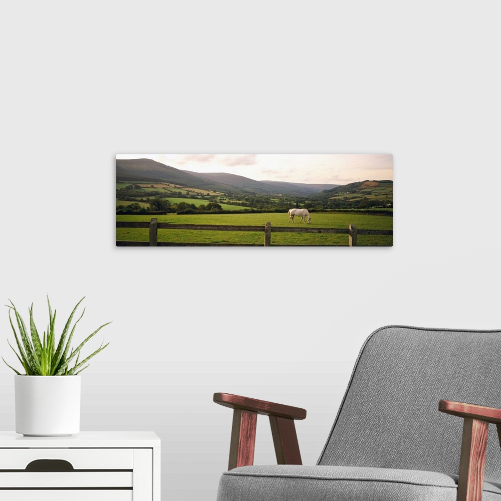 A modern room featuring Big canvas photo of a horse grazing in a field with a fence in the foreground and rolling mountai...
